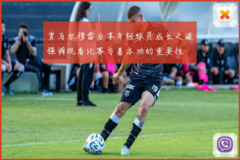 贾马尔穆雷分享年轻球员成长之道强调观看比赛与基本功的重要性