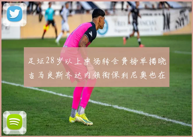 足坛28岁以上中场转会费榜单揭晓吉马良斯齐达内领衔保利尼奥也在列